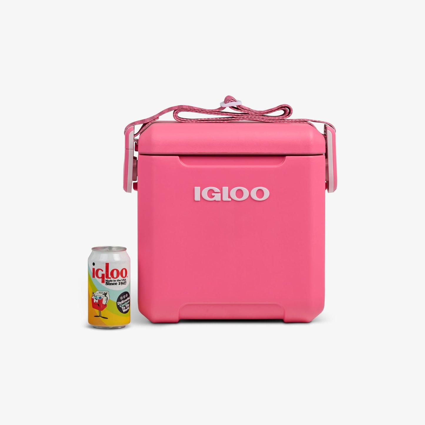 tag-along-too-remix-cooler-b6 00033199-P_861a5cd2-f15c-4217-a471-e33cc3890d9e.jpg